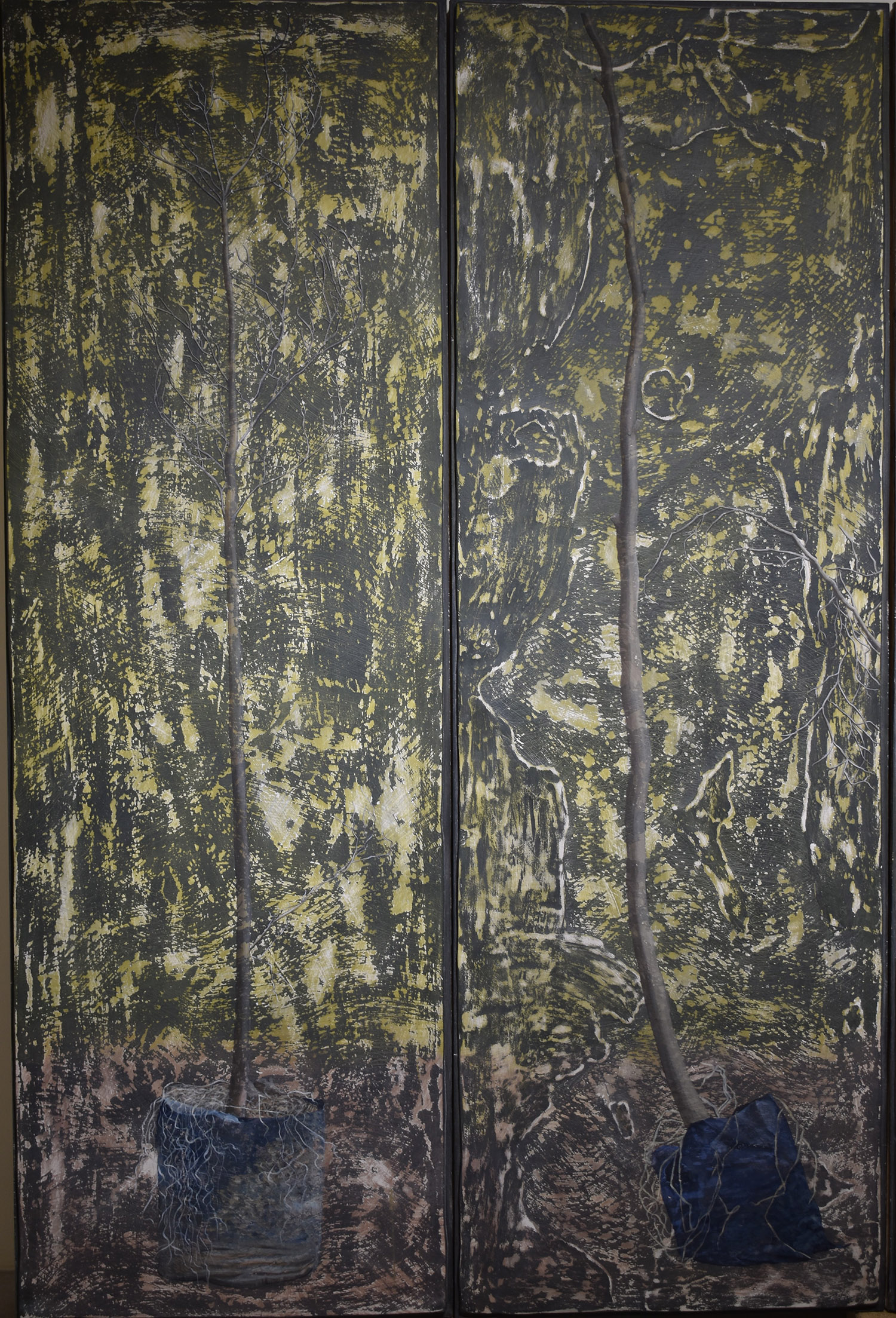 A seed of doom from the day I was born Series II of VI